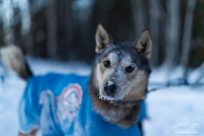 Bailey Vitello's Team at Ophir