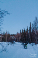 Bailey Vitello Leaving Ophir