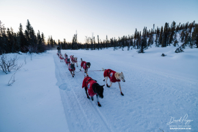 Matt Hall Leaving Ophir