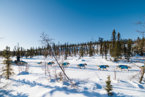 Kevin Hansen in Ophir