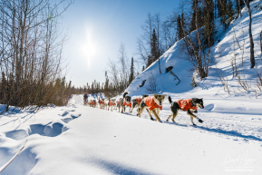 Rohn Buser Passing Through Ophir