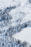 Mille Porsild Heading to Cripple