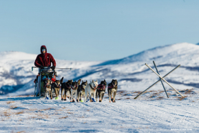 Jessie Holmes in Route to Unalakleet 2