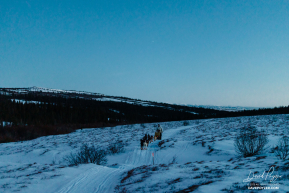Matt Hall in the Blueberry Hills