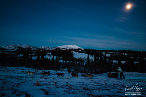 Mushing Under Moon Light