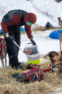 2026 McGrath Checkpoint