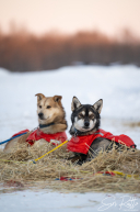 2026 McGrath Checkpoint