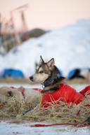 2026 McGrath Checkpoint