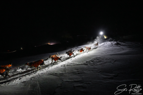 2026 McGrath Checkpoint