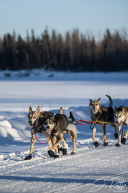 2026 McGrath Checkpoint