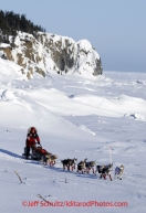 Sunday March 11, 2012  Aliy Zirkle runs on the sea ice after leaving Elim. Iditarod 2012.