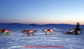 Sunday March 11, 2012  Ed Stielstra runs on the slough at dawn just prior to the checkpoint at Unalakleet. Iditarod 2012.