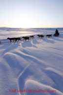 Sunday March 11, 2012  Martin Buser on the trail after  Unalakleet. Iditarod 2012.