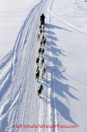 Monday March 12, 2012  Rick Swenson on the trail leaaving Unalakleet.  Iditarod 2012.