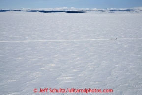 Paul Gebhart runs on Golovin Bay 7 miles from the White Mountain checkpoint on Tuesday March 12, 2013.Iditarod Sled Dog Race 2013Photo by Jeff Schultz copyright 2013 DO NOT REPRODUCE WITHOUT PERMISSION