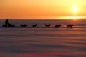 Josh Cadzow runs on the Bering Sea at sunrise just outside the Elim checkpoint on Tuesday March 12, 2013.Iditarod Sled Dog Race 2013Photo by Jeff Schultz copyright 2013 DO NOT REPRODUCE WITHOUT PERMISSION