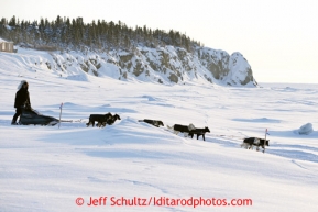 Jessie Royer drops down the bank onto the Bering Sea at the Elim checkpoint on Tuesday March 12, 2013.Iditarod Sled Dog Race 2013Photo by Jeff Schultz copyright 2013 DO NOT REPRODUCE WITHOUT PERMISSION