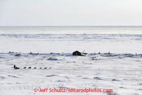 Aily Zirkle along the Bering Sea Tuesday March 12, 2013.Iditarod Sled Dog Race 2013Photo by Jeff Schultz copyright 2013 DO NOT REPRODUCE WITHOUT PERMISSION