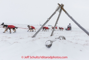 Jason Mackey passes a tripod trail marker as he nears Nome on Thursday March 13 during the 2014 Iditarod Sled Dog Race.PHOTO (c) BY JEFF SCHULTZ/IditarodPhotos.com -- REPRODUCTION PROHIBITED WITHOUT PERMISSION