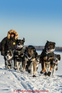 Rick Casillo runs down the Yukon River on his way into the Galena checkpoint on Thursday March 12, 2015 during Iditarod 2015.  (C) Jeff Schultz/SchultzPhoto.com - ALL RIGHTS RESERVED DUPLICATION  PROHIBITED  WITHOUT  PERMISSION