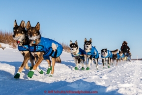 Scott Smith runs down the Yukon River bank on the way in to the Galena checkpoint on Thursday March 12, 2015 during Iditarod 2015.  (C) Jeff Schultz/SchultzPhoto.com - ALL RIGHTS RESERVED DUPLICATION  PROHIBITED  WITHOUT  PERMISSION