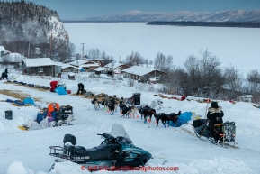 Curt Perrano runs past parked dogs on the main street as he leaves in the morning on Thursday March 12, 2015 from the Ruby checkpoint during Iditarod 2015.  The Yukon River in the background.(C) Jeff Schultz/SchultzPhoto.com - ALL RIGHTS RESERVED DUPLICATION  PROHIBITED  WITHOUT  PERMISSION