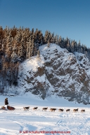 Bryan Bearss runs past a cliff on the Yukon River shorlty after leaving the Ruby Checkpoint in the morning on Thursday March 12, 2015 during Iditarod 2015.(C) Jeff Schultz/SchultzPhoto.com - ALL RIGHTS RESERVED DUPLICATION  PROHIBITED  WITHOUT  PERMISSION