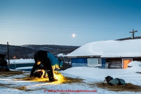 Paige Drobny boots dogs in the morning preparing to leave on Thursday March 12, 2015 at the Ruby checkpoint during Iditarod 2015.(C) Jeff Schultz/SchultzPhoto.com - ALL RIGHTS RESERVED DUPLICATION  PROHIBITED  WITHOUT  PERMISSION