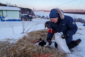 Volunteer Vet Greg Kloster feeds and cares for the dropped dogs wating to be flown out at the Ruby Checkpoint on Saturday March 12th during the 2016 Iditarod.  Alaska    Photo by Jeff Schultz (C) 2016  ALL RIGHTS RESERVED