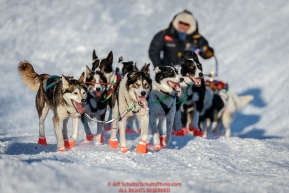 Ralph Johannessen and team run up the bank of the Yukon River to the Kaltag checkpoint on Saturday March 12th during the 2016 Iditarod.  Alaska    Photo by Jeff Schultz (C) 2016  ALL RIGHTS RESERVED