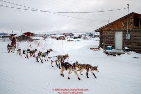 Aliy Zirkle runs through town as she leaves the Kaltag checkpoint during the 2017 Iditarod on Sunday morning March 12, 2017.Photo by Jeff Schultz/SchultzPhoto.com  (C) 2017  ALL RIGHTS RESERVED