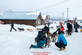 Veterinarians check Ray Redington Jr. team as Peter Kaiser pulls in behind at the Kaltag checkpoint during the 2017 Iditarod on Sunday afternoon March 12, 2017.Photo by Jeff Schultz/SchultzPhoto.com  (C) 2017  ALL RIGHTS RESERVED