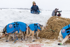 A young boy watches Katherine Keiths dogs from a snowberm at the Unalakleet checkpoint on Monday  afternoon March 12th during the 2018 Iditarod Sled Dog Race -- AlaskaPhoto by Jeff Schultz/SchultzPhoto.com  (C) 2018  ALL RIGHTS RESERVED