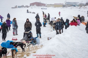 Dogs rest and spectators watch as a teams arrives on the at the Unalakleet checkpoint on Monday  afternoon March 12th during the 2018 Iditarod Sled Dog Race -- AlaskaPhoto by Jeff Schultz/SchultzPhoto.com  (C) 2018  ALL RIGHTS RESERVED