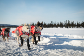 2026 Cripple Checkpoint