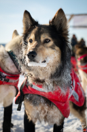 2026 Cripple Checkpoint