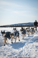 2026 Cripple Checkpoint