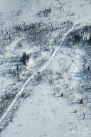 Trail Photos | Cripple to Galena