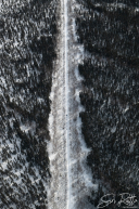 Trail Photos | Cripple to Galena