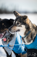 2026 Cripple Checkpoint