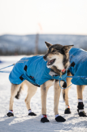 2026 Cripple Checkpoint