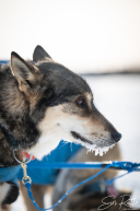 2026 Cripple Checkpoint