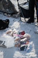 2026 Cripple Checkpoint