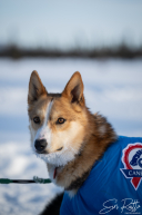 2026 Cripple Checkpoint