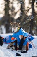 2026 Cripple Checkpoint