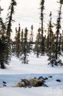 2026 Cripple Checkpoint