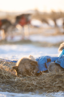 2026 Cripple Checkpoint