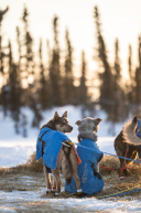 2026 Cripple Checkpoint