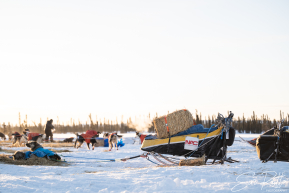 2026 Cripple Checkpoint