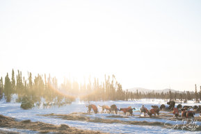 2026 Cripple Checkpoint
